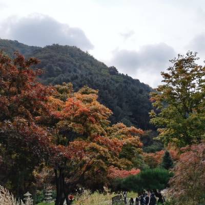 Photo review number 3481 from HUEY TIAN S