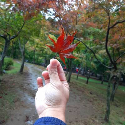 Photo review number 3345 from Nelson T
