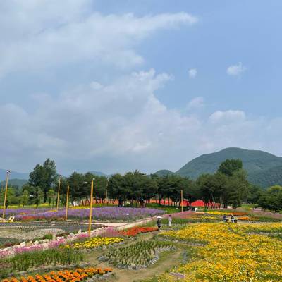 Photo review number 11426 from cant*******@*********