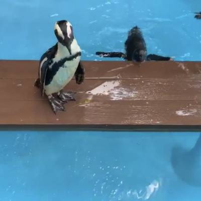 Photo review number 2569 from Ronia  A