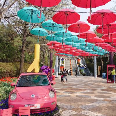Photo review number 1885 from Xiang S