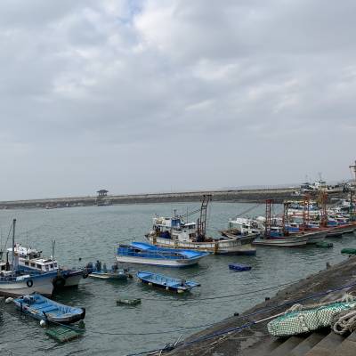 Photo review number 4230 from Dilara T