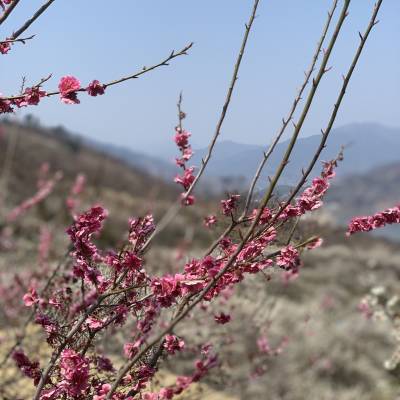 Photo review number 1748 from leng*******@*********