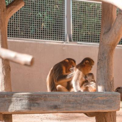 Photo review number 3774 from Aileen V