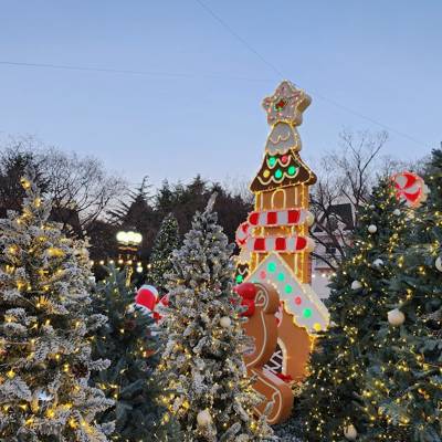 Photo review number 10599 from Denise O