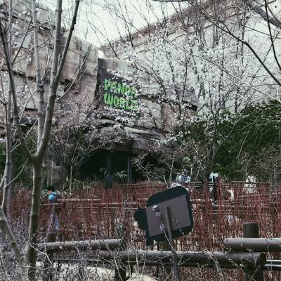 Photo review number 1933 from nene*****@*********