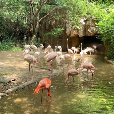 Photo review number 2552 from Ronia  A