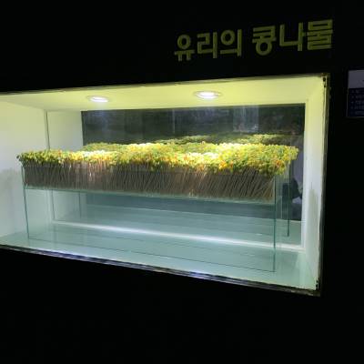 Photo review number 4380 from Mick M