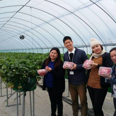 Photo review number 593 from Maria Fermina N