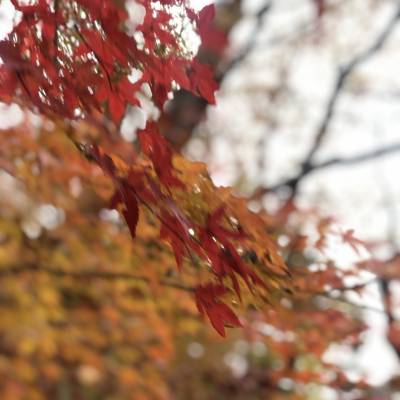 Photo review number 3904 from Mel A