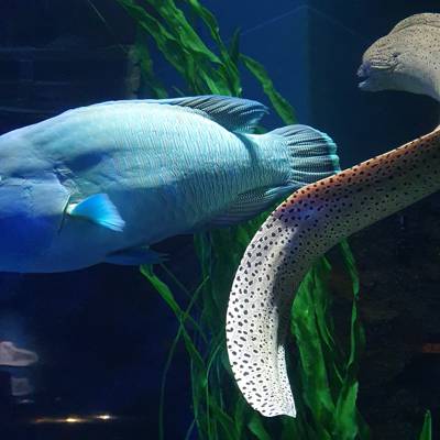 Photo review number 5700 from Bronwyn B