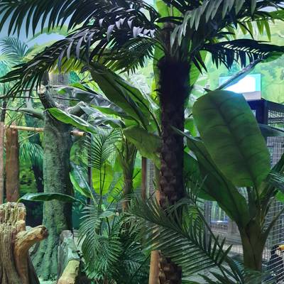 Photo review number 5699 from Bronwyn B