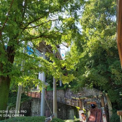 Photo review number 3245 from Gaurav Y