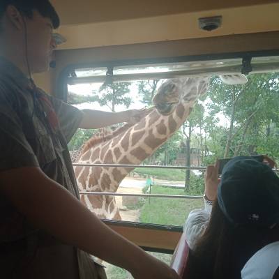 Photo review number 3003 from Tyler C