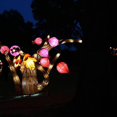 Photo review number 1042 from Julia B