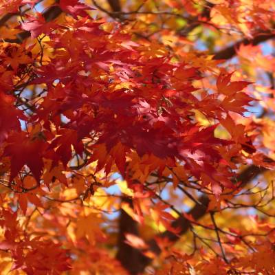 Photo review number 1069 from Julia B