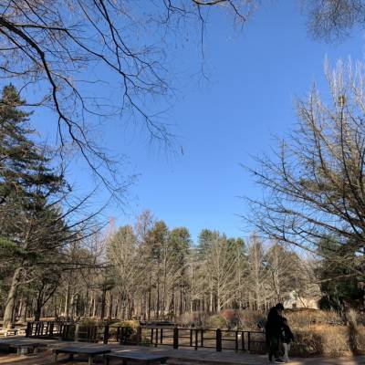 Photo review number 4033 from Ruchanee S