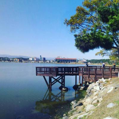 Photo review number 384 from Jessica B