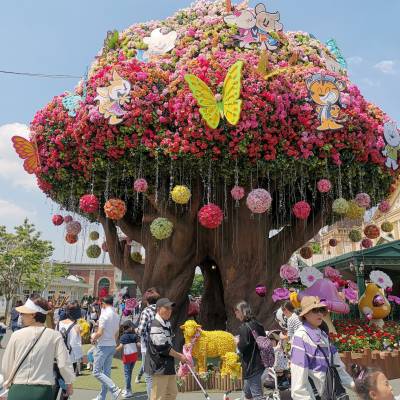 Photo review number 2416 from Janet L