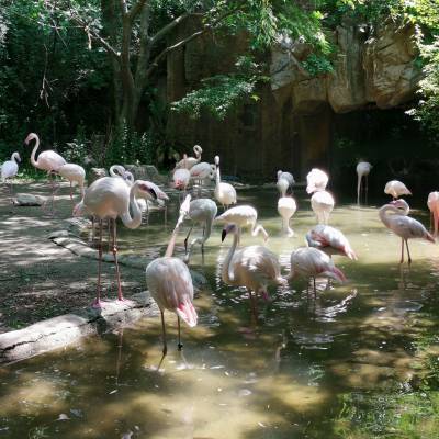 Photo review number 2419 from Janet L