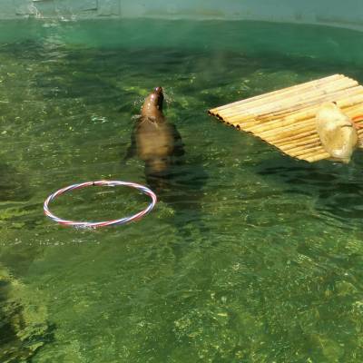 Photo review number 2420 from Janet L