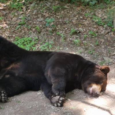 Photo review number 2422 from Janet L