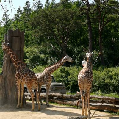 Photo review number 2423 from Janet L