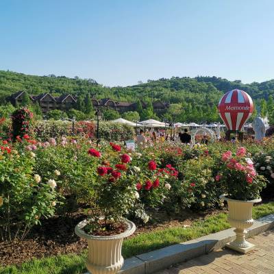 Photo review number 2425 from Janet L