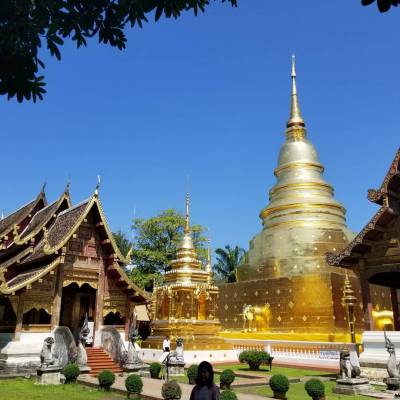 Photo review number 3153 from Gregory  O