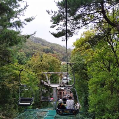 Photo review number 3313 from Rita A