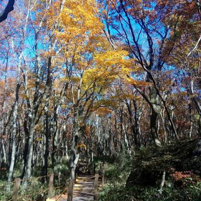 Photo review number 3736 from Josephine B