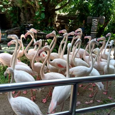 Photo review number 3966 from chandrasekhar c