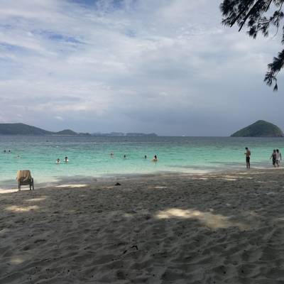 Photo review number 4112 from Chi L