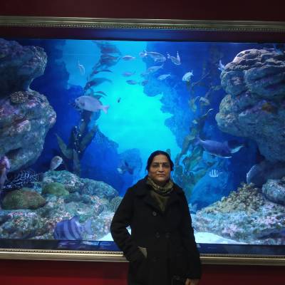 Photo review number 4817 from Sourabh J