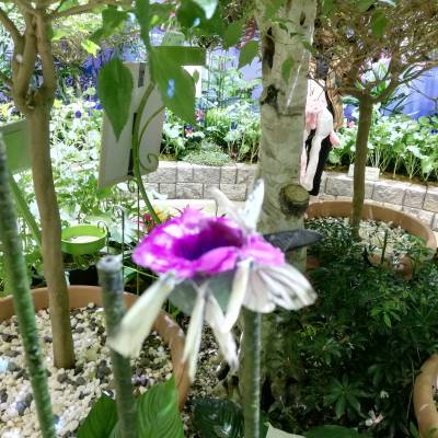 Photo review number 4837 from Pratanphorn N