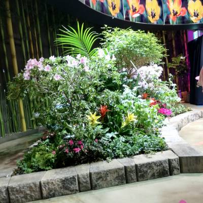 Photo review number 4836 from Pratanphorn N