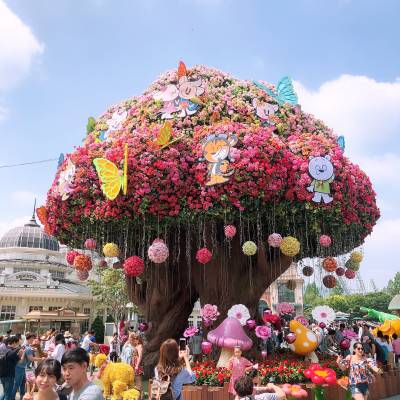 Photo review number 2433 from Kathy L