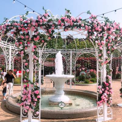 Photo review number 2435 from Kathy L