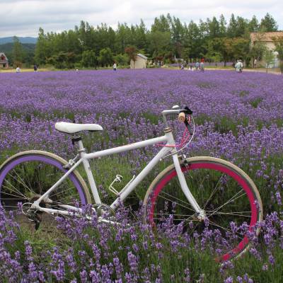 Photo review number 750 from chia****@*********