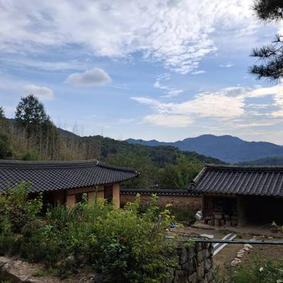 Photo review number 17357 from Ayushi P