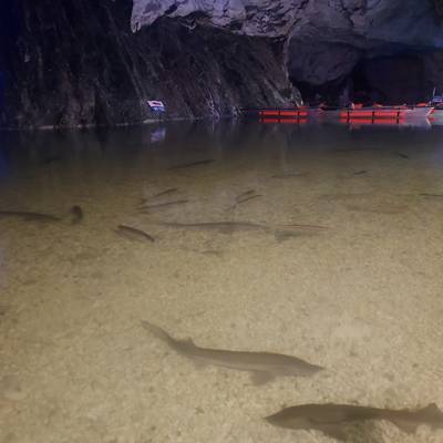 Photo review number 17808 from Redh*******@***********