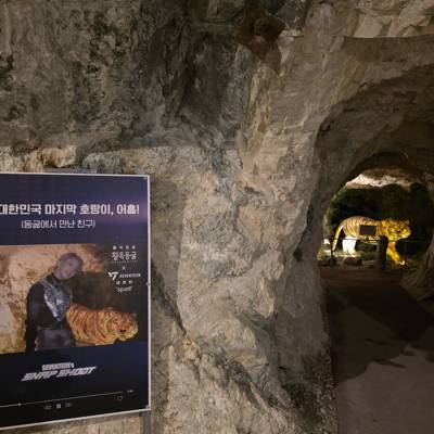 Photo review number 17844 from Momo********@*********