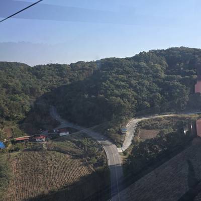 Photo review number 17842 from Momo********@*********