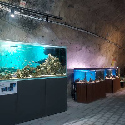 Photo review number 17809 from Redh*******@***********