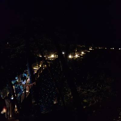 Photo review number 17360 from Ayushi P