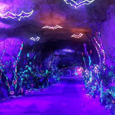 Photo review number 17810 from Redh*******@***********