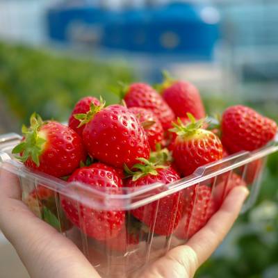 Photo review number 1744 from char************@*********