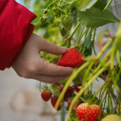 Photo review number 1743 from char************@*********