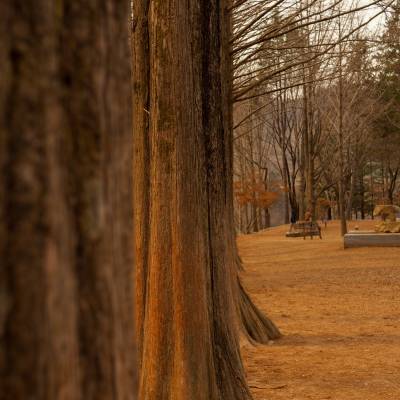 Photo review number 1742 from char************@*********