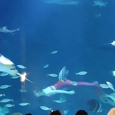 Photo review number 5698 from Bronwyn B